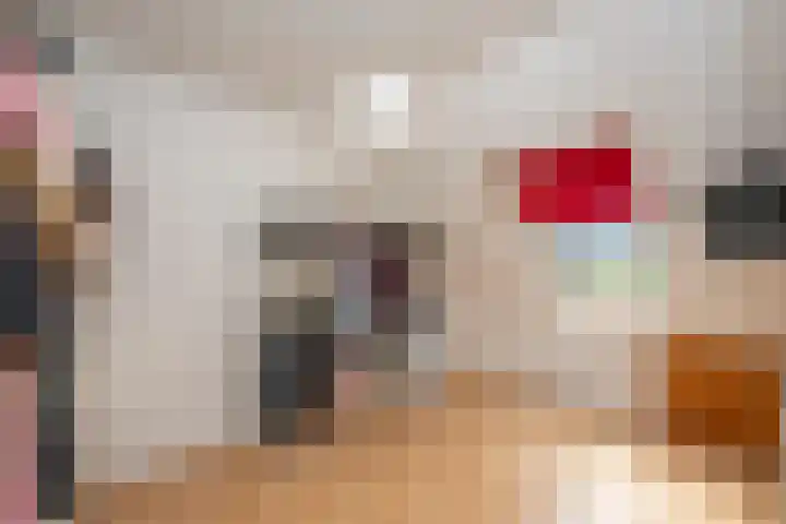 Clasinadreef 32 Tilburg thumbnail 25