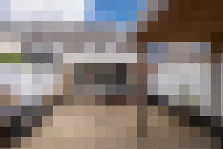 Clasinadreef 32 Tilburg thumbnail 34
