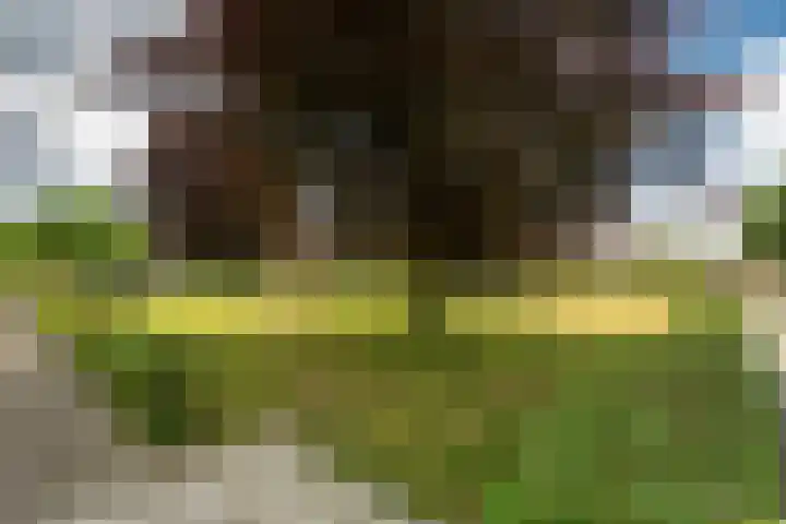 Clasinadreef 32 Tilburg thumbnail 41