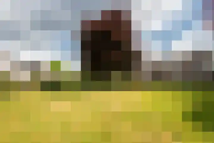 Clasinadreef 32 Tilburg thumbnail 42