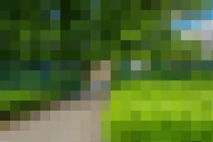 Clasinadreef 32 Tilburg thumbnail 43