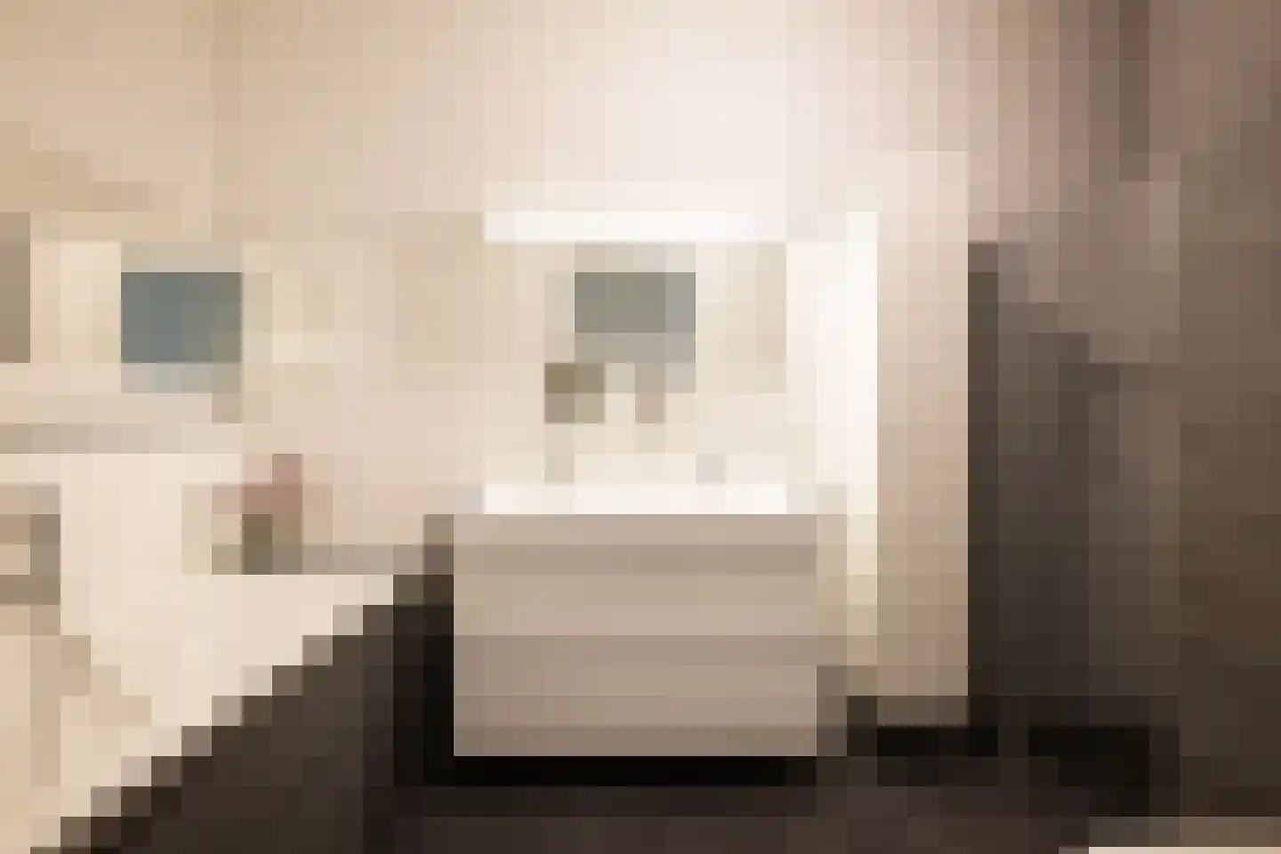 Claude Debussylaan 207 Amsterdam thumbnail 28