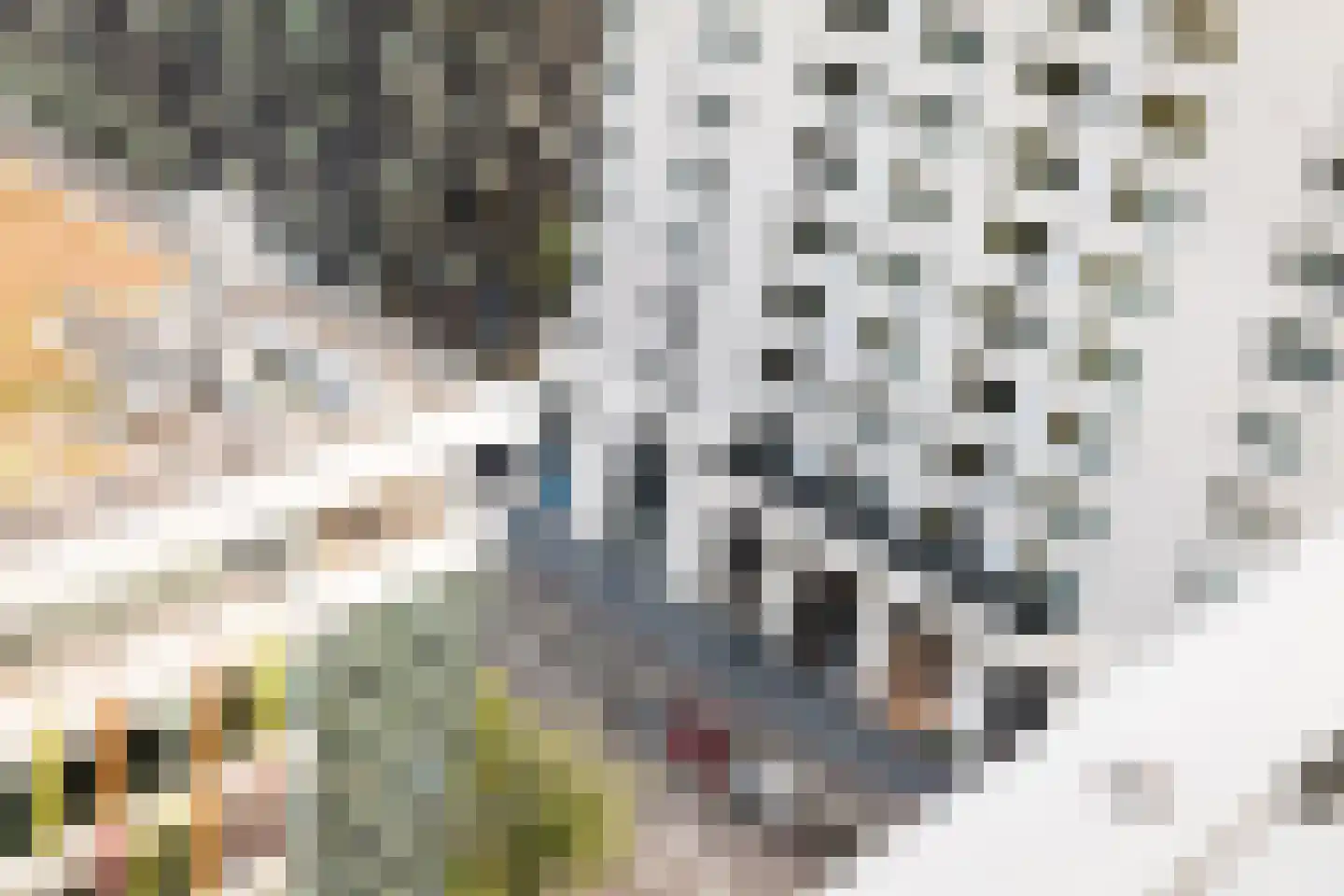 Claude Debussylaan 215 Amsterdam thumbnail 12