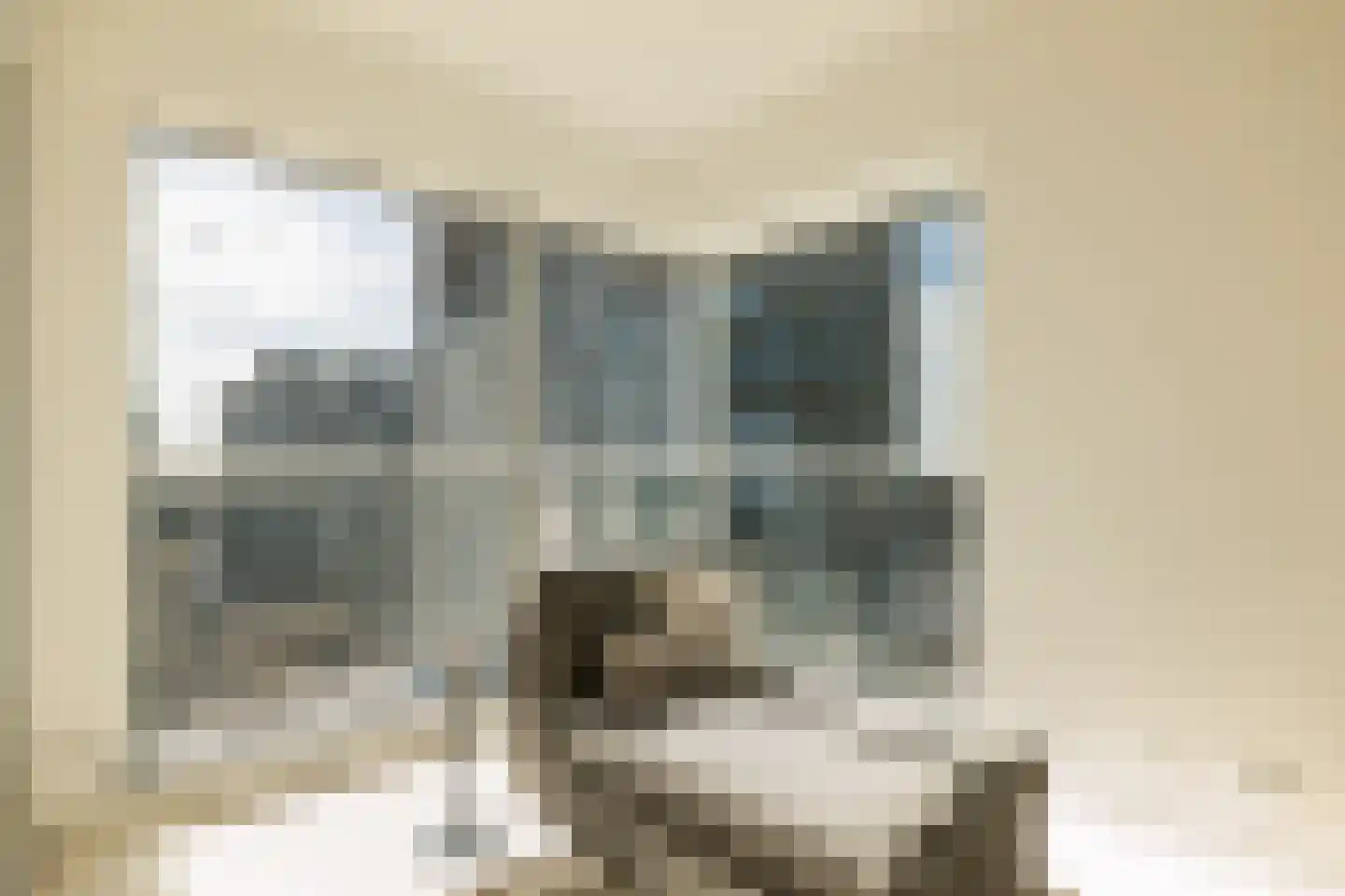 Claude Debussylaan 223 Amsterdam thumbnail 17