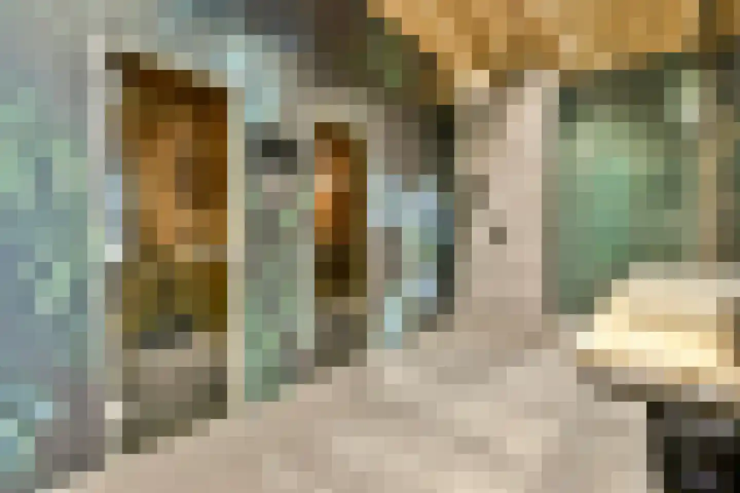 Claude Debussylaan 223 Amsterdam thumbnail 34