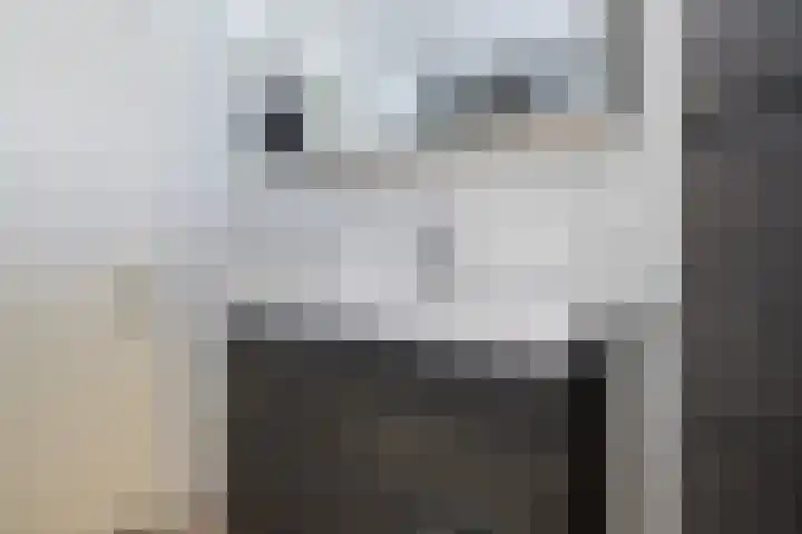 Claude Debussystraat 124 Zaandijk thumbnail 20