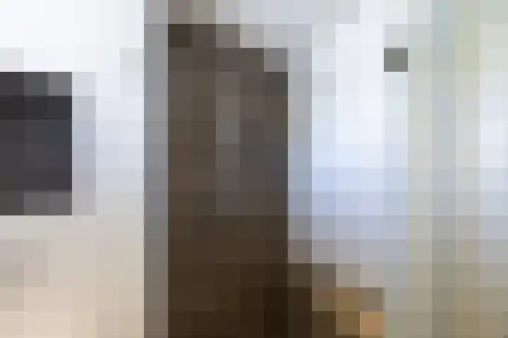 Claude Debussystraat 124 Zaandijk thumbnail 21