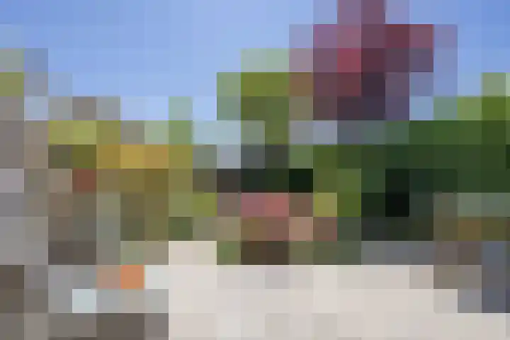 Claude Debussystraat 124 Zaandijk thumbnail 25
