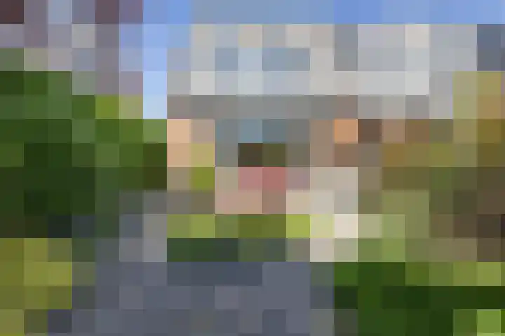 Claude Debussystraat 124 Zaandijk thumbnail 26