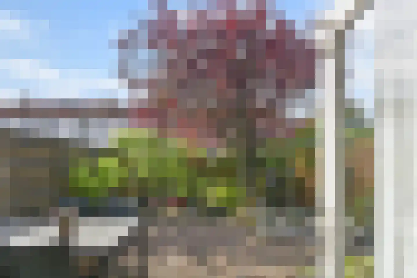 Claude Debussystraat 163 Den Haag thumbnail 21