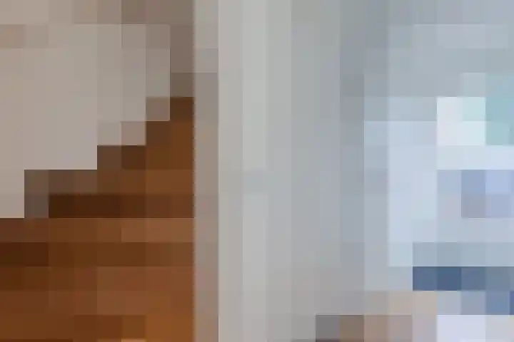 Claude Debussystraat 2 Zaandijk thumbnail 18