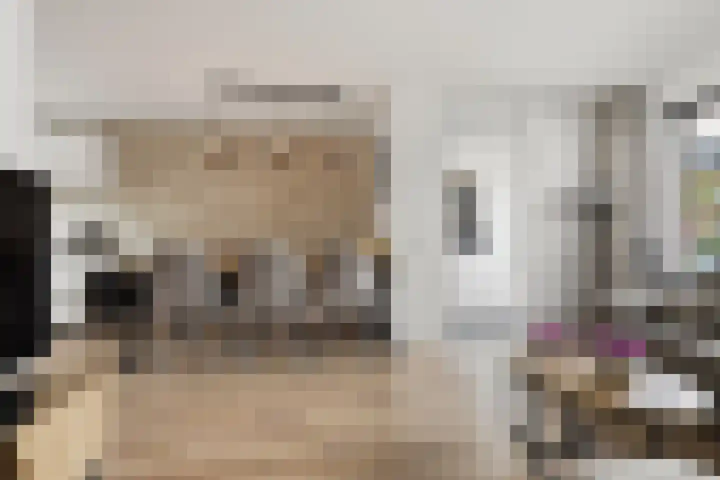 Claude Debussystraat 22 Zaandijk thumbnail 5