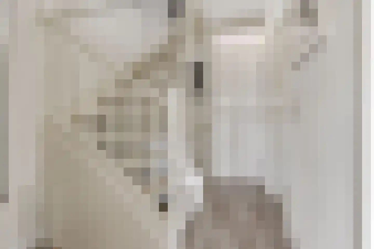 Claude Debussystraat 24 Zaandijk thumbnail 16