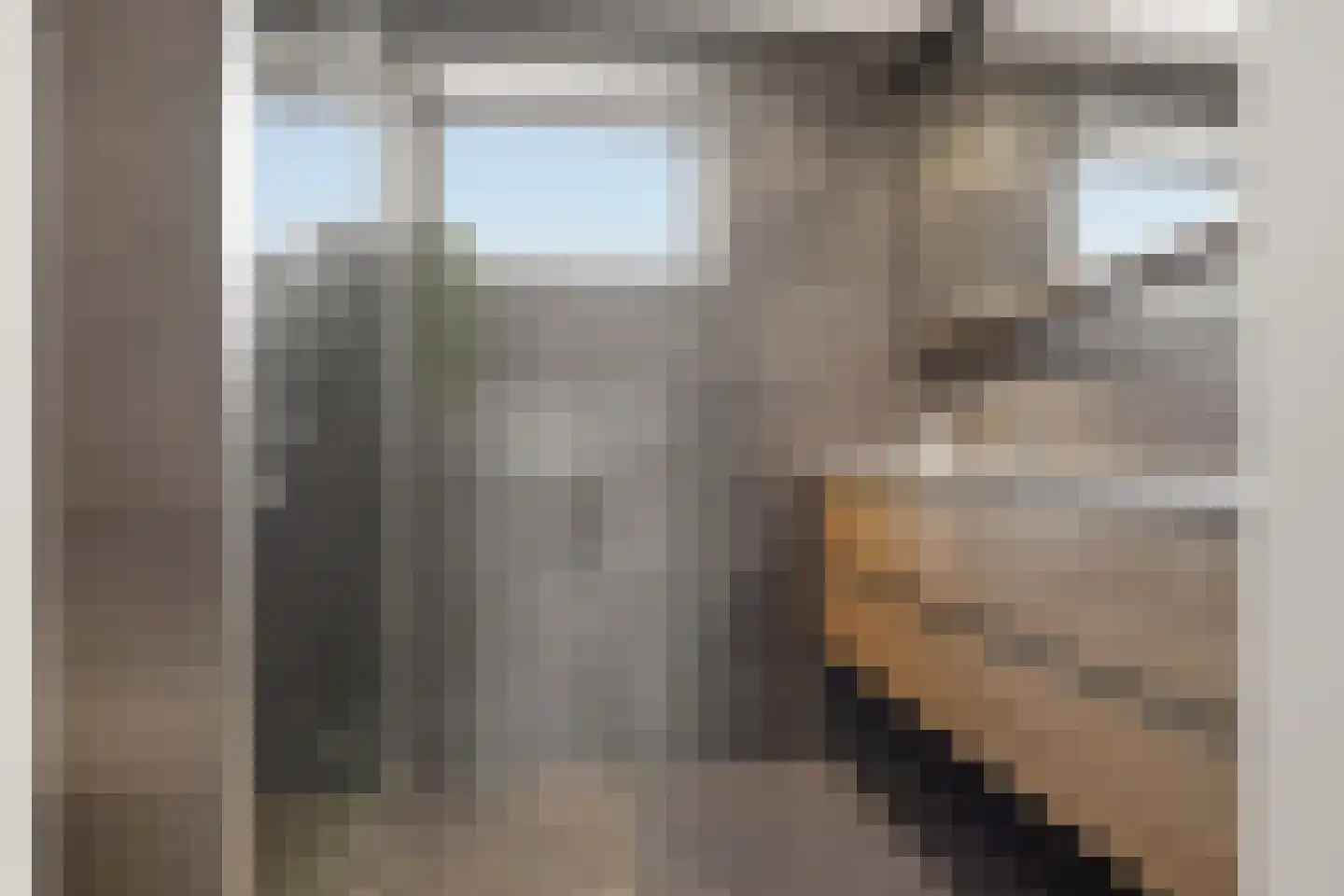 Claude Debussystraat 24 Zaandijk thumbnail 19