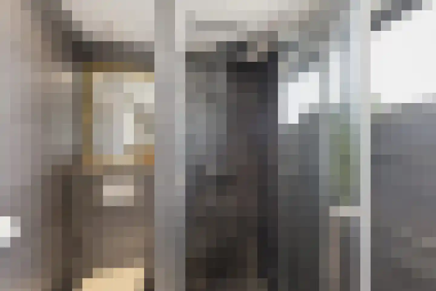 Claude Debussystraat 24 Zaandijk thumbnail 20