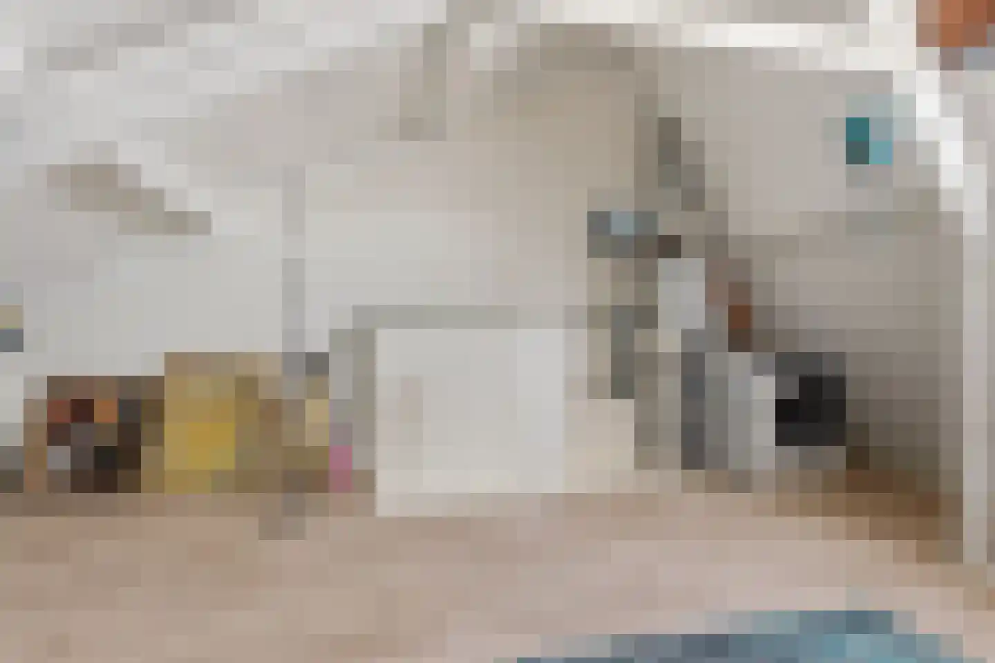 Claude Debussystraat 24 Zaandijk thumbnail 24