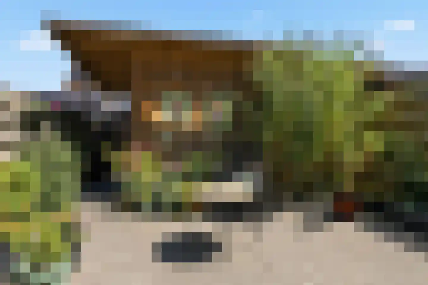 Claude Debussystraat 24 Zaandijk thumbnail 25