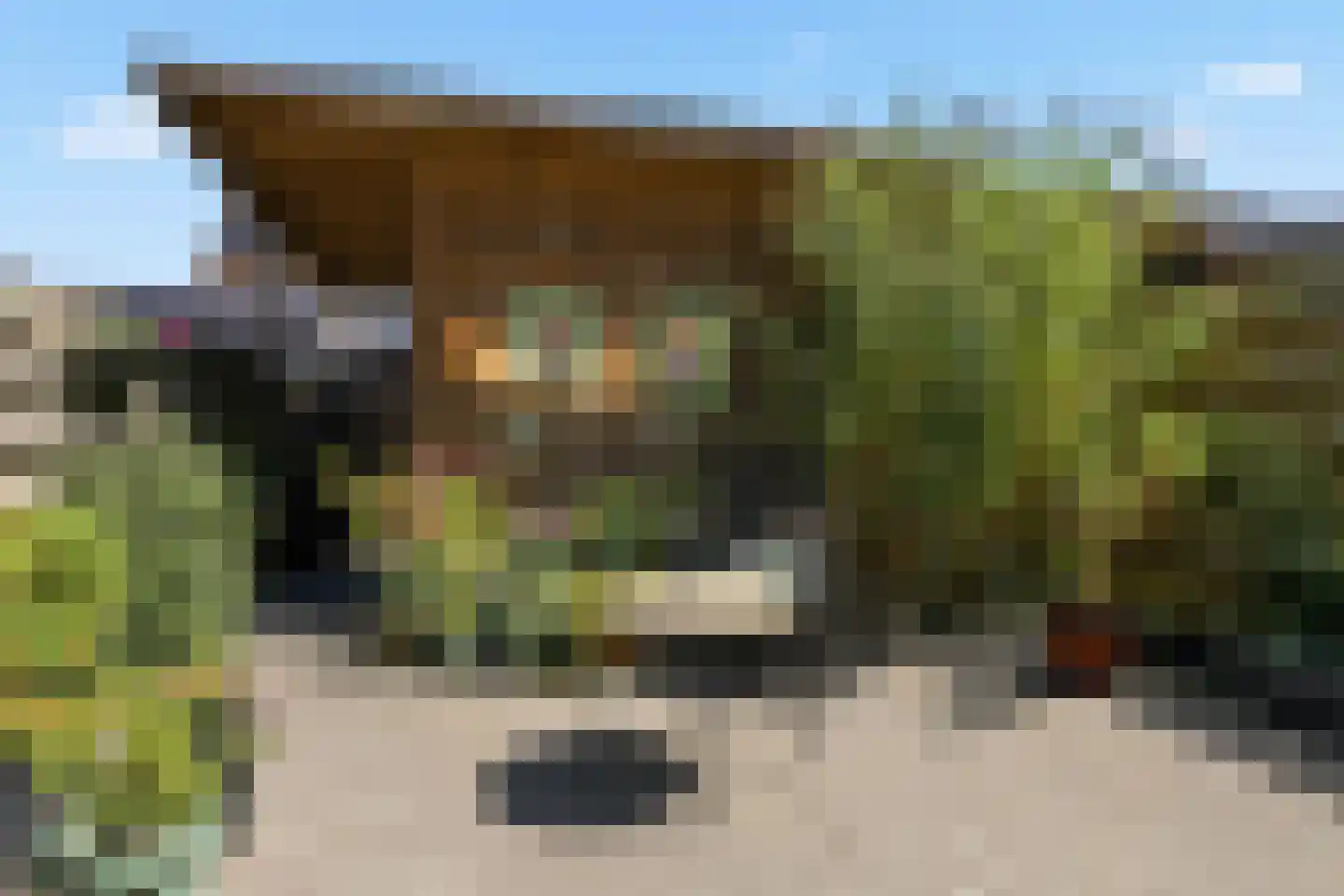 Claude Debussystraat 24 Zaandijk thumbnail 26