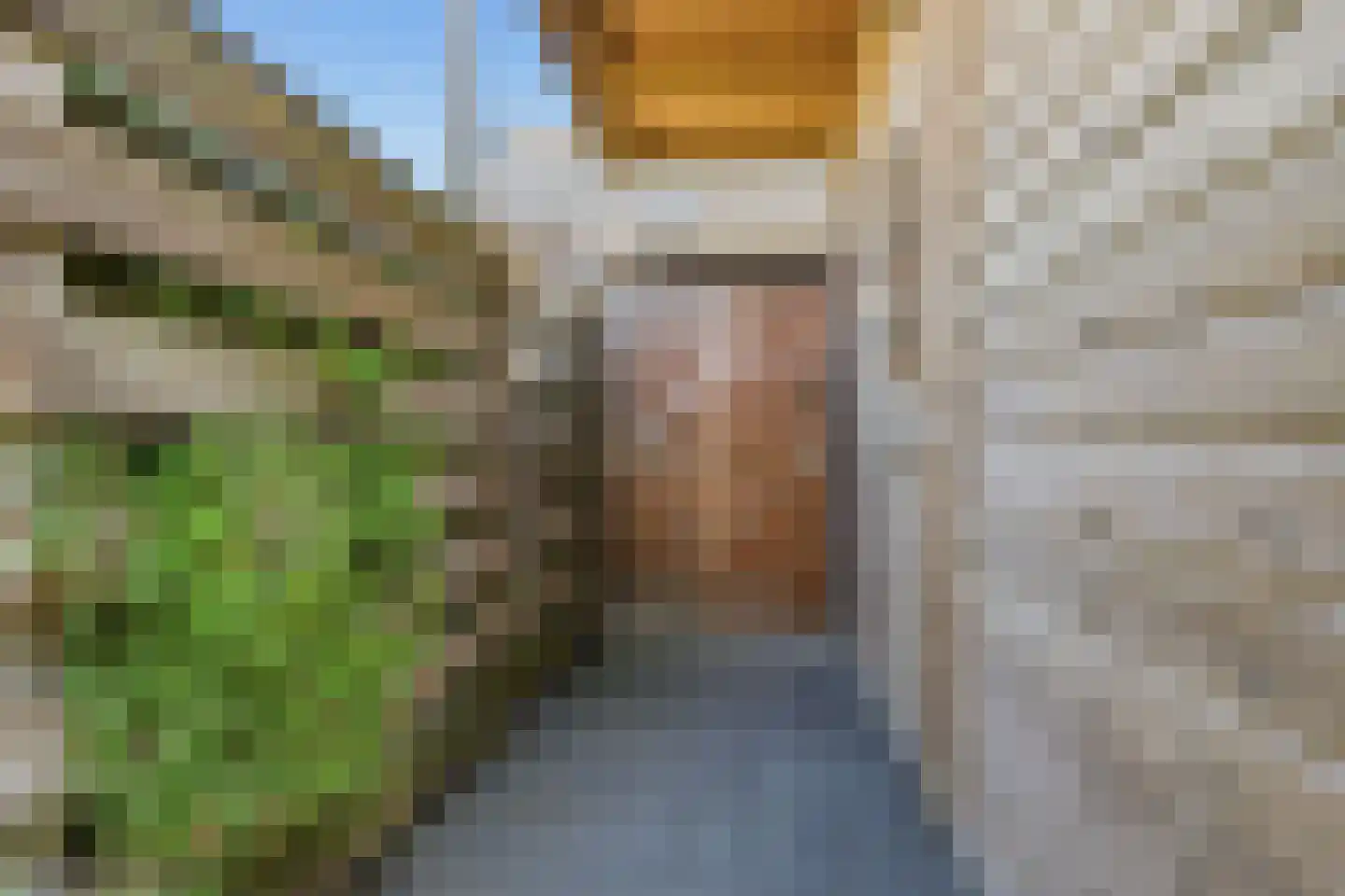 Claude Debussystraat 24 Zaandijk thumbnail 29