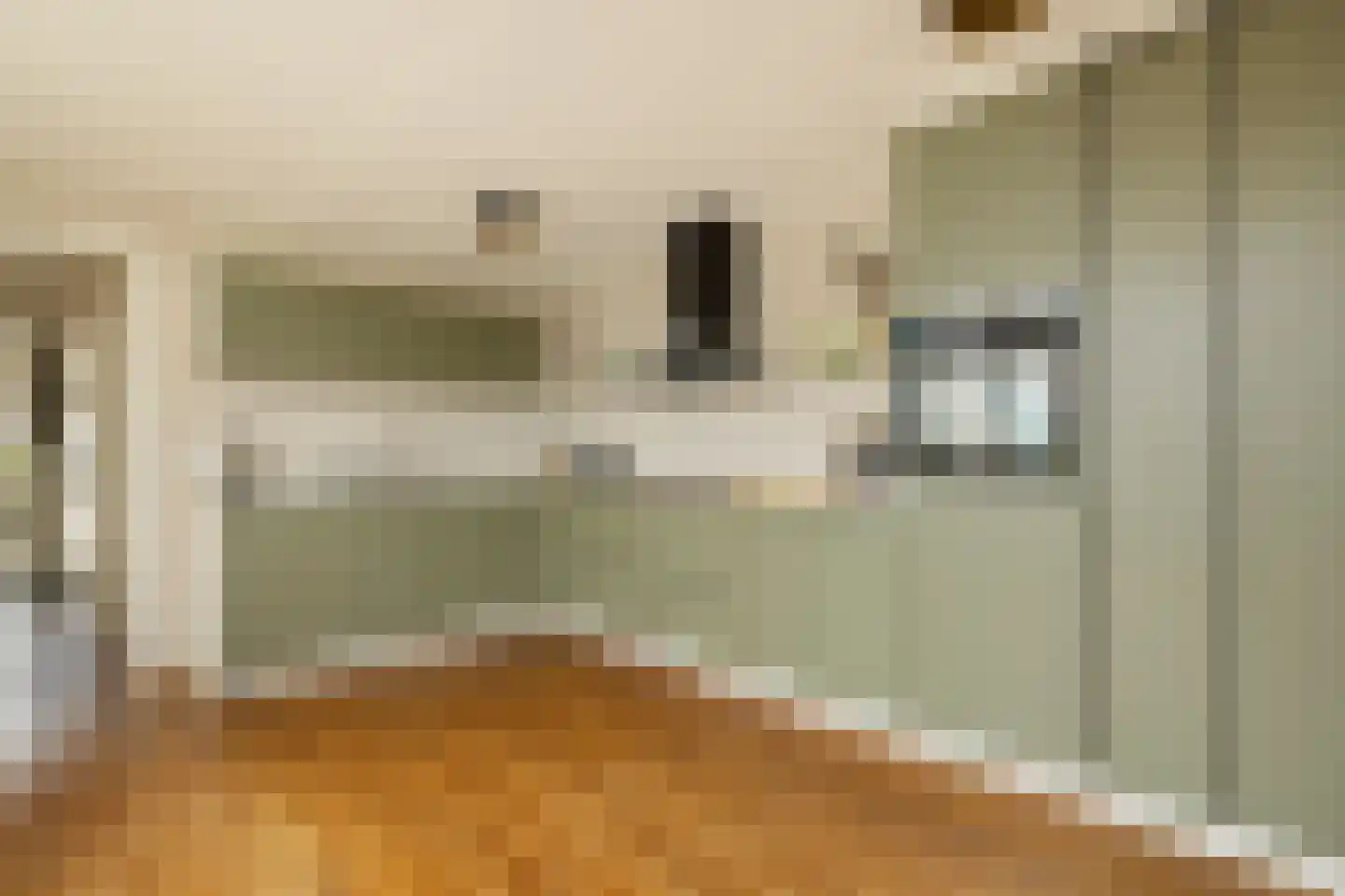 Claude Debussystraat 25 Zaandijk thumbnail 14