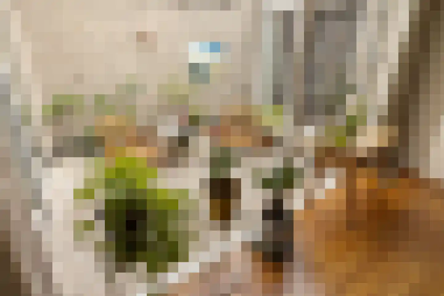Claude Debussystraat 25 Zaandijk thumbnail 16