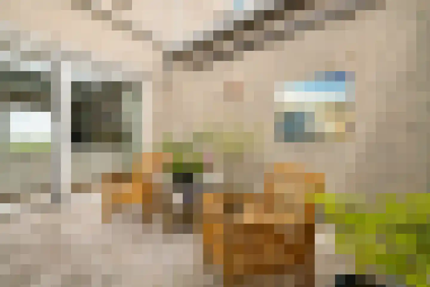 Claude Debussystraat 25 Zaandijk thumbnail 18