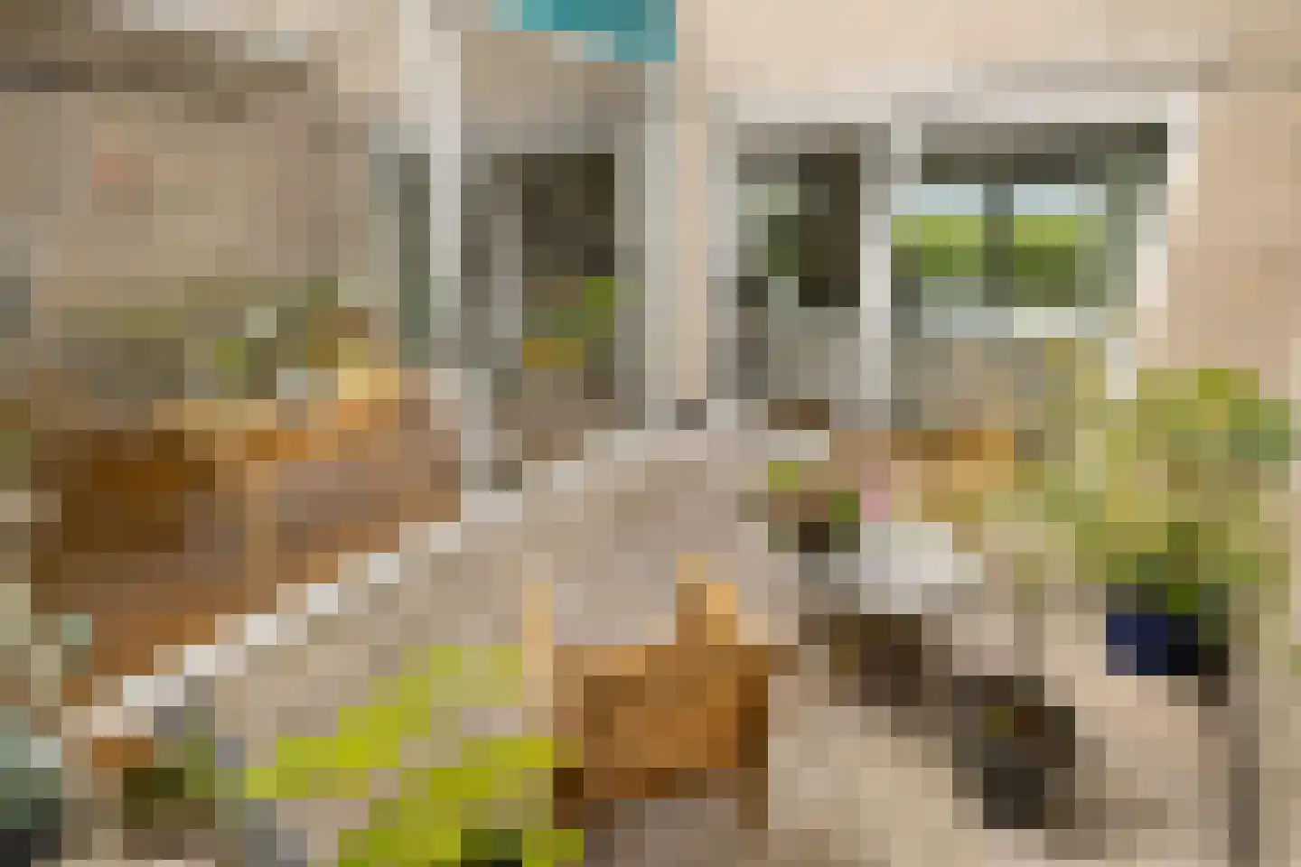 Claude Debussystraat 25 Zaandijk thumbnail 19