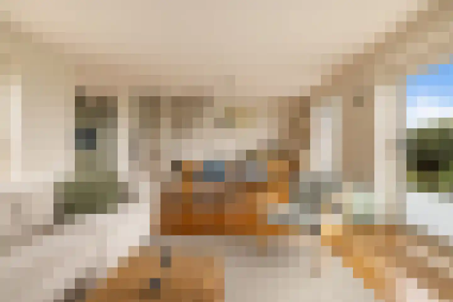 Claude Debussystraat 25 Zaandijk thumbnail 26