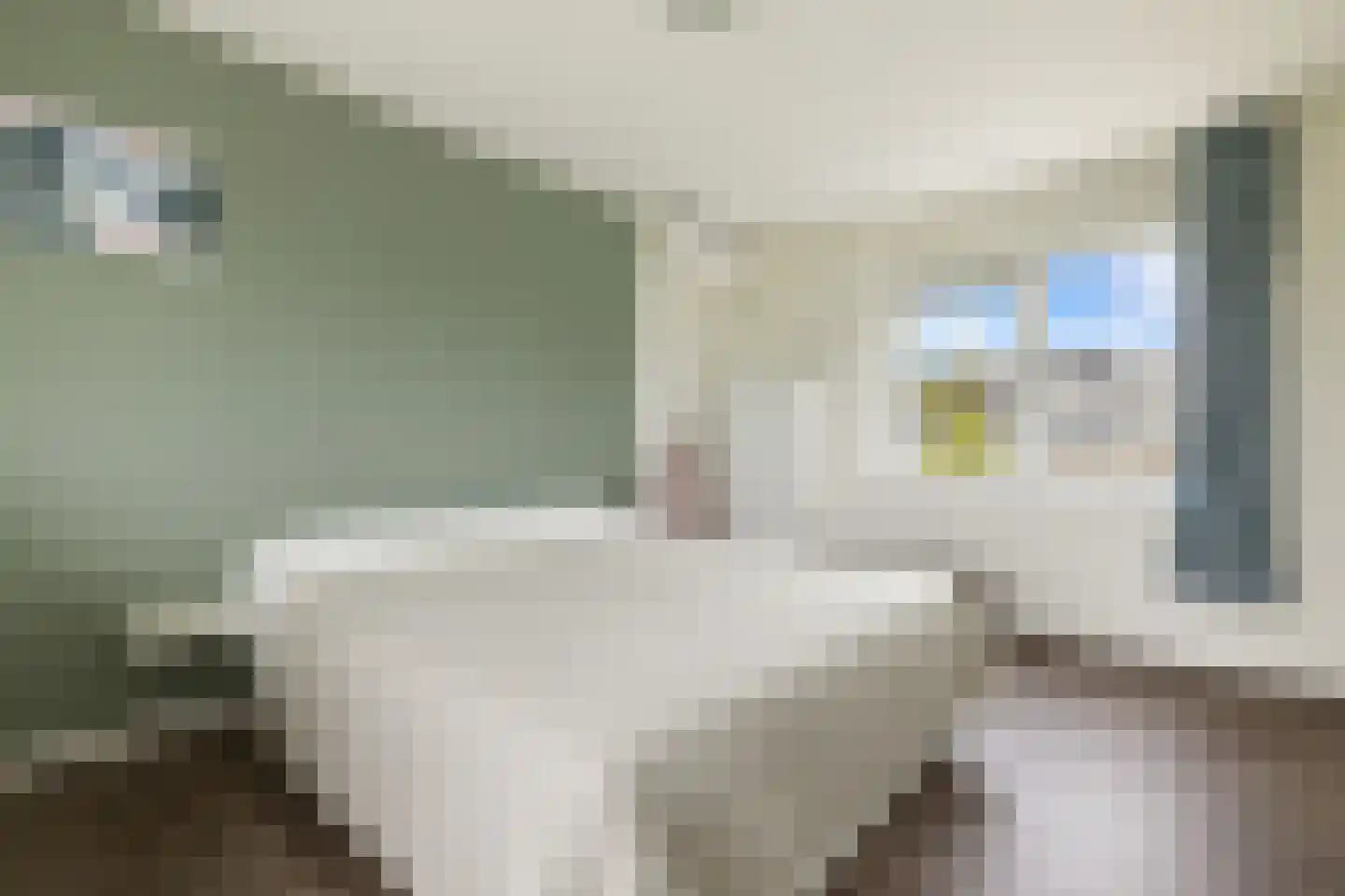 Claude Debussystraat 25 Zaandijk thumbnail 36