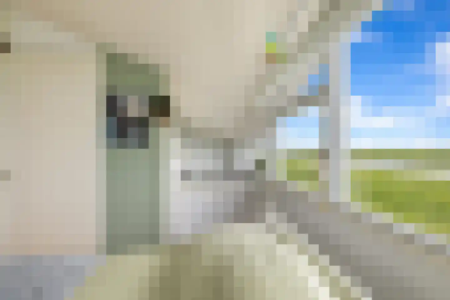 Claude Debussystraat 25 Zaandijk thumbnail 46