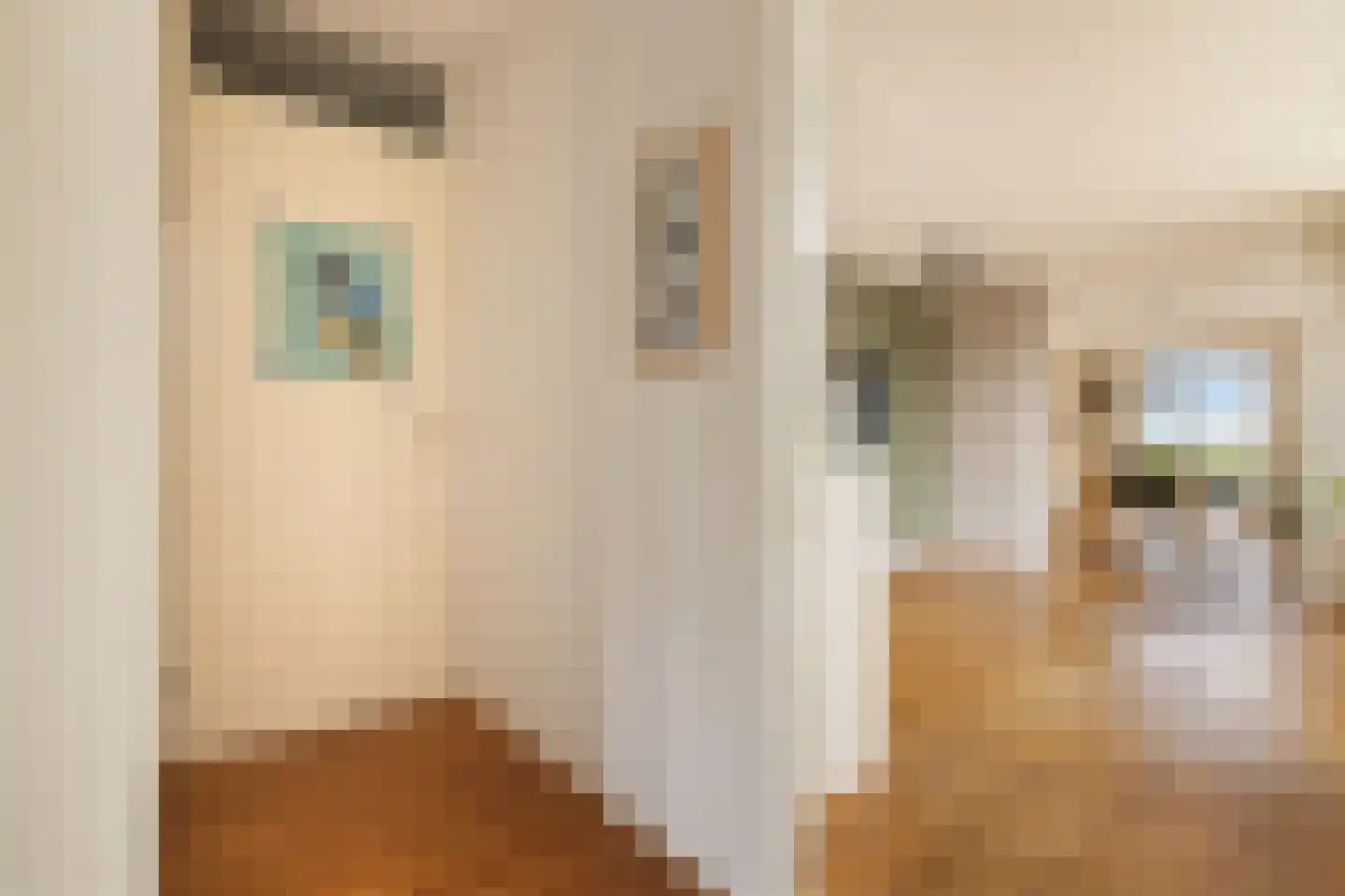 Claude Debussystraat 25 Zaandijk thumbnail 7
