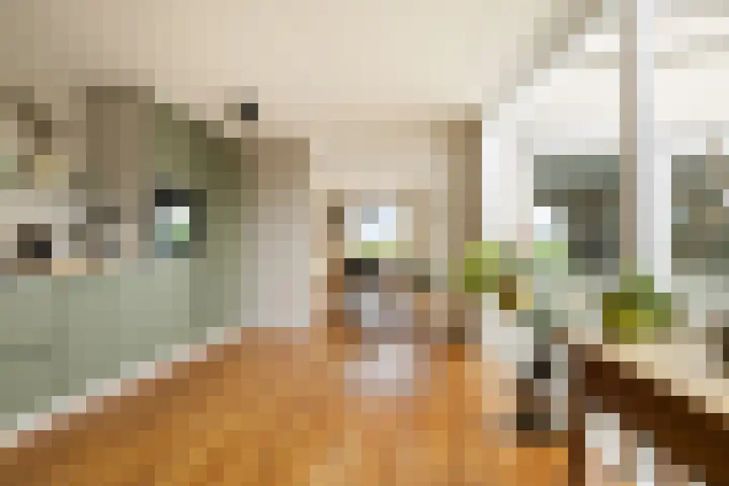 Claude Debussystraat 25 Zaandijk thumbnail 9