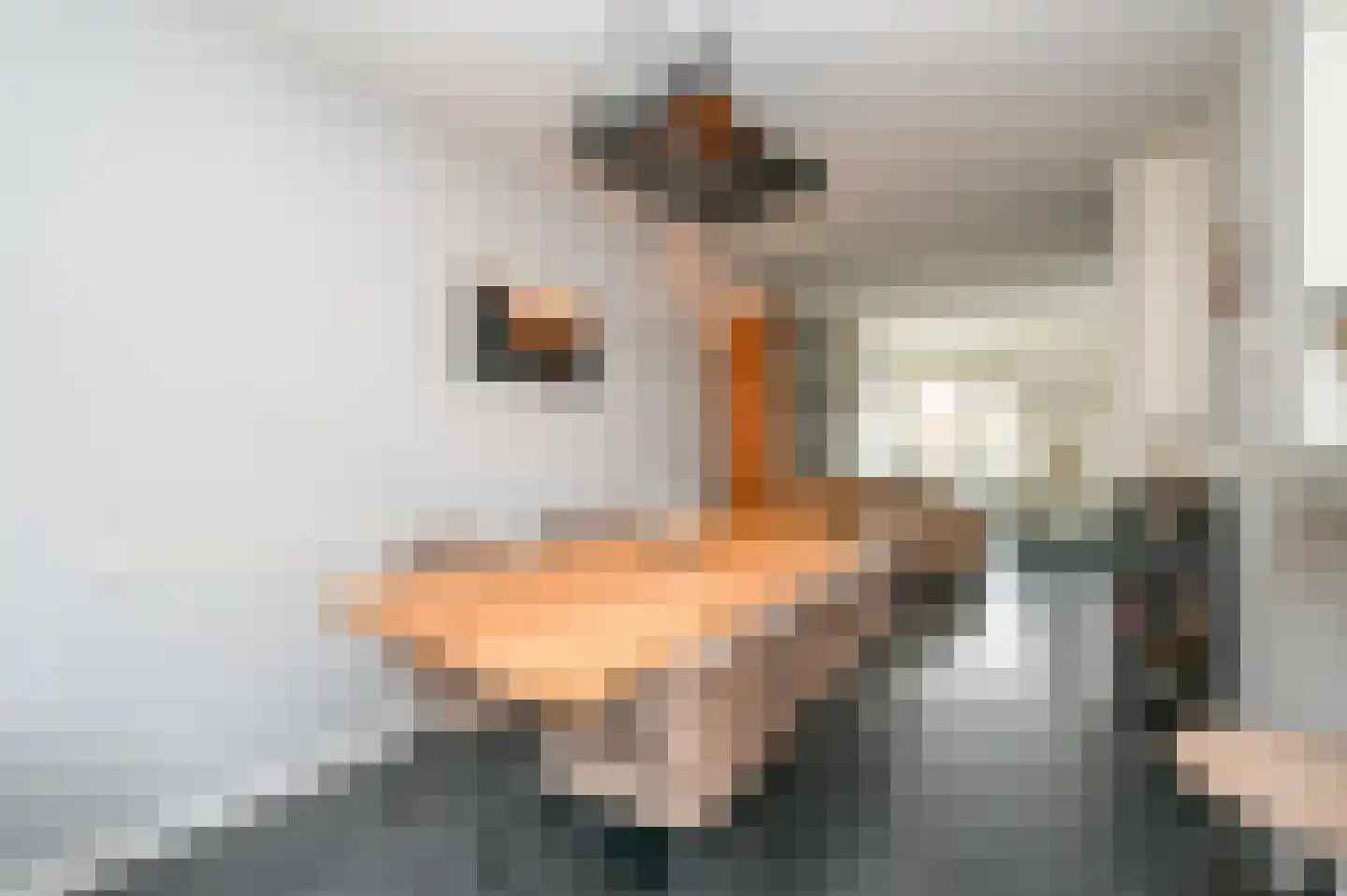 Claude Debussystraat 45 Den Haag thumbnail 32