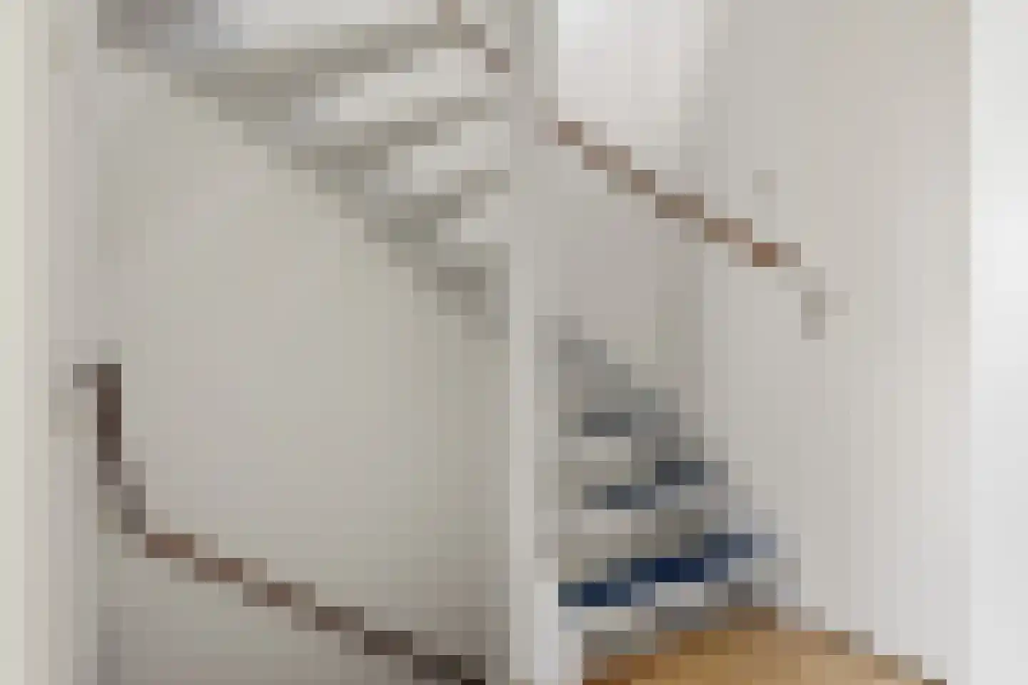 Claude Debussystraat 56 Zaandijk thumbnail 16