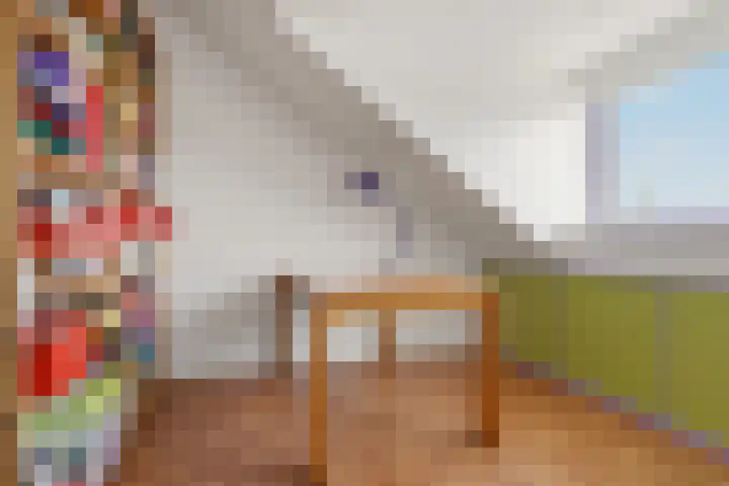 Claude Debussystraat 56 Zaandijk thumbnail 28