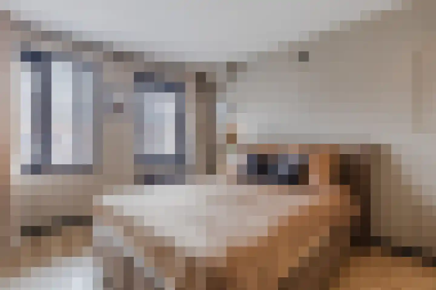Claude Debussystraat 9 Zaandijk thumbnail 17