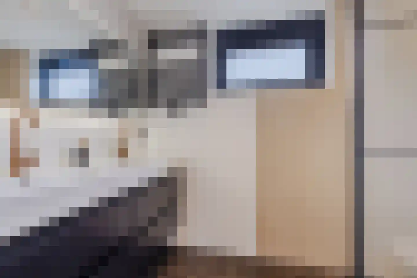 Claude Debussystraat 9 Zaandijk thumbnail 23