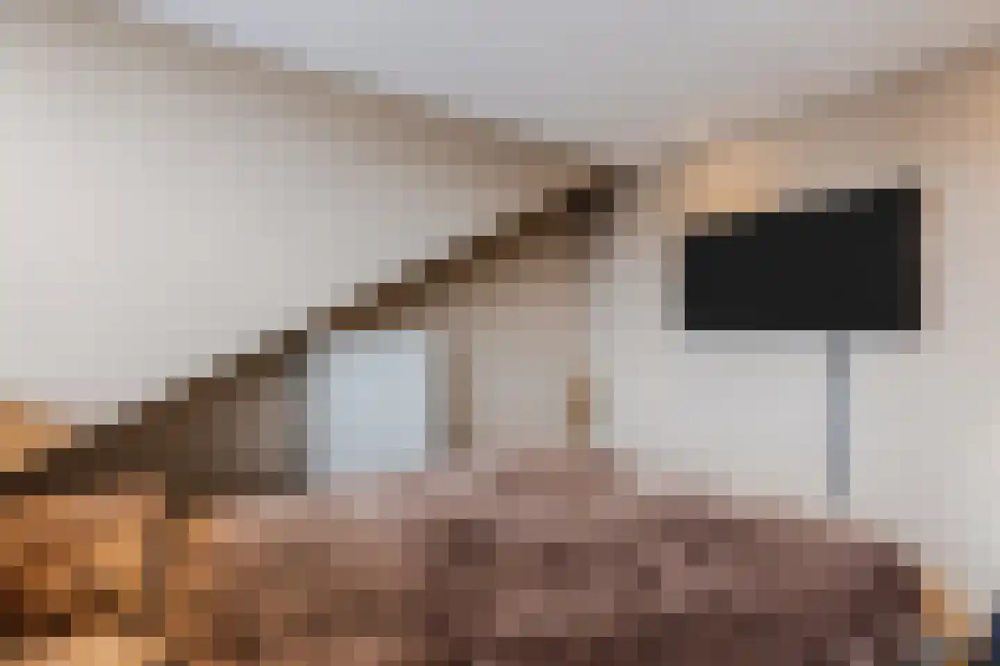 Claude Debussystraat 9 Zaandijk thumbnail 28