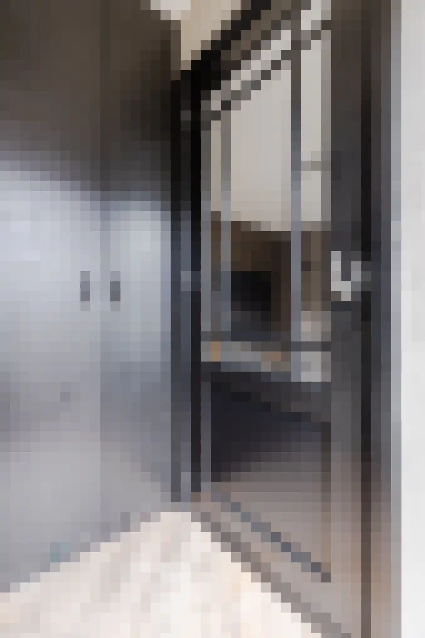Claude Debussystraat 9 Zaandijk thumbnail 8