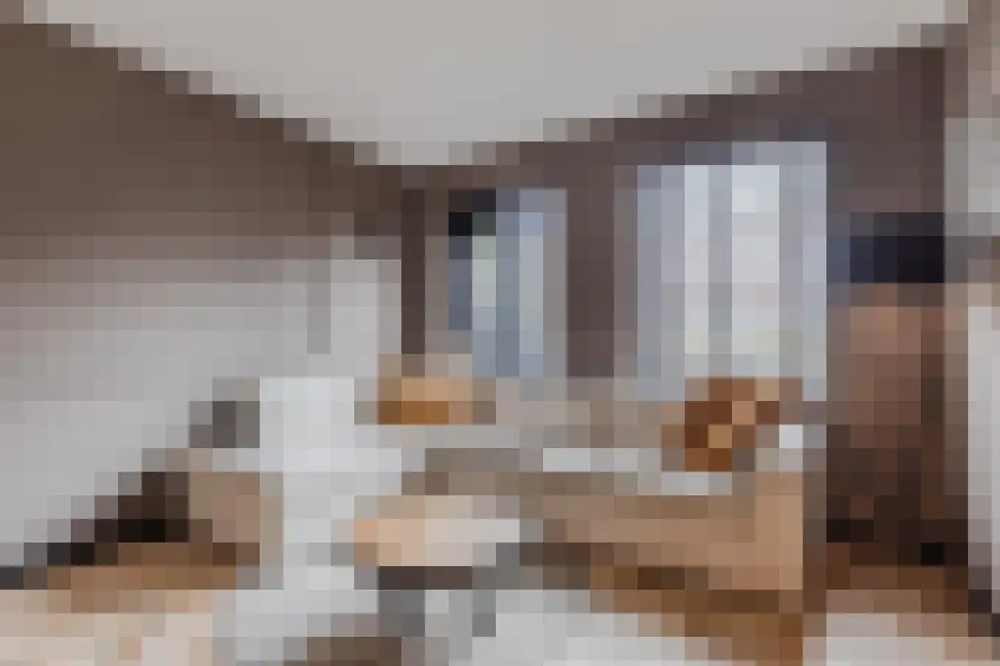 Claude Debussystraat 9 Zaandijk thumbnail 9