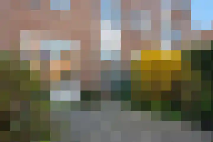 Claude Debussystraat 96 Den Haag thumbnail 21
