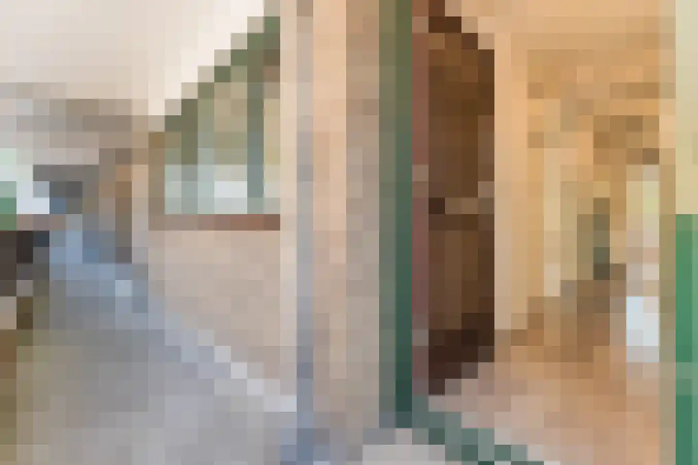 Claude Monetstraat 20 Zaandam thumbnail 10