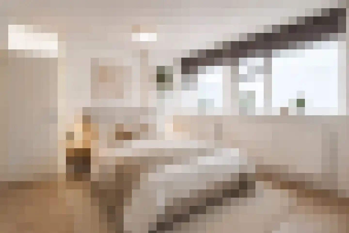 Claude Monetstraat 20 Zaandam thumbnail 19