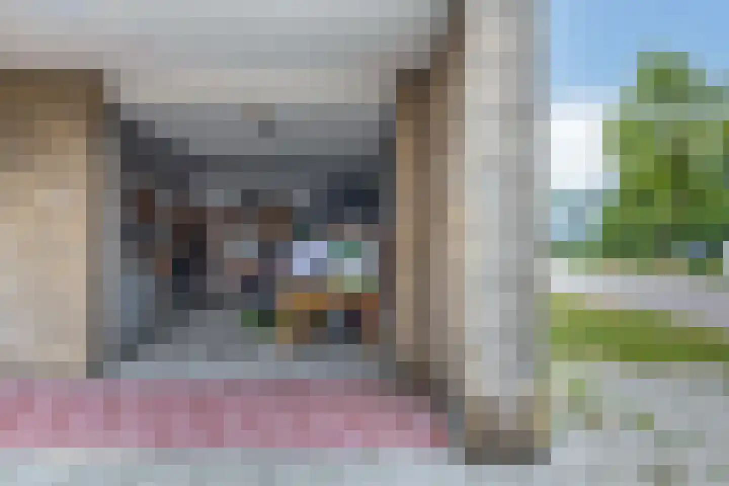 Claude Monetstraat 21 Zaandam thumbnail 34