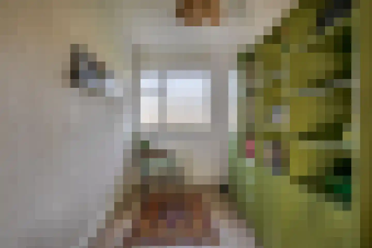 Claude Monetstraat 36 Zaandam thumbnail 24