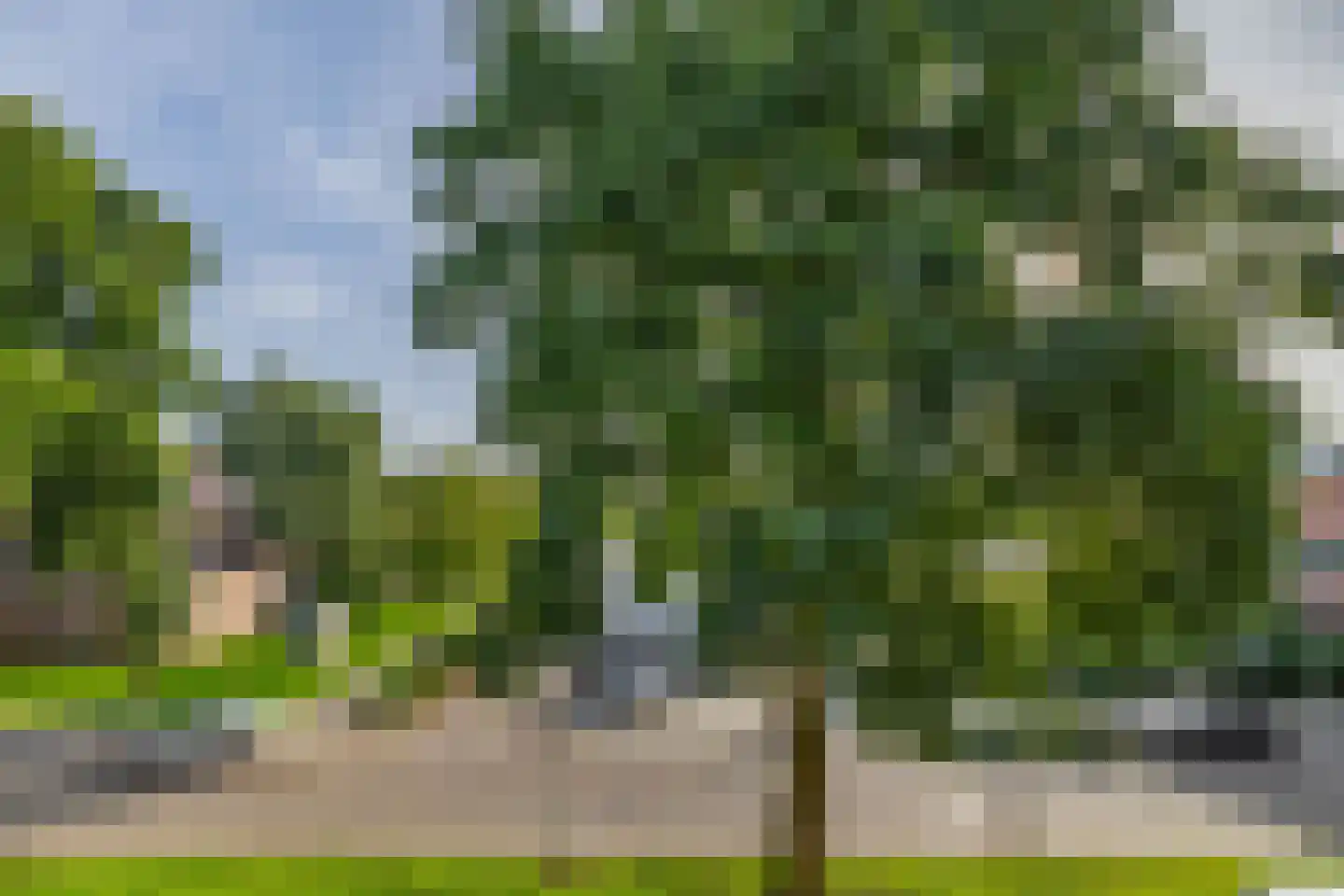 Claude Monetstraat 36 Zaandam thumbnail 31