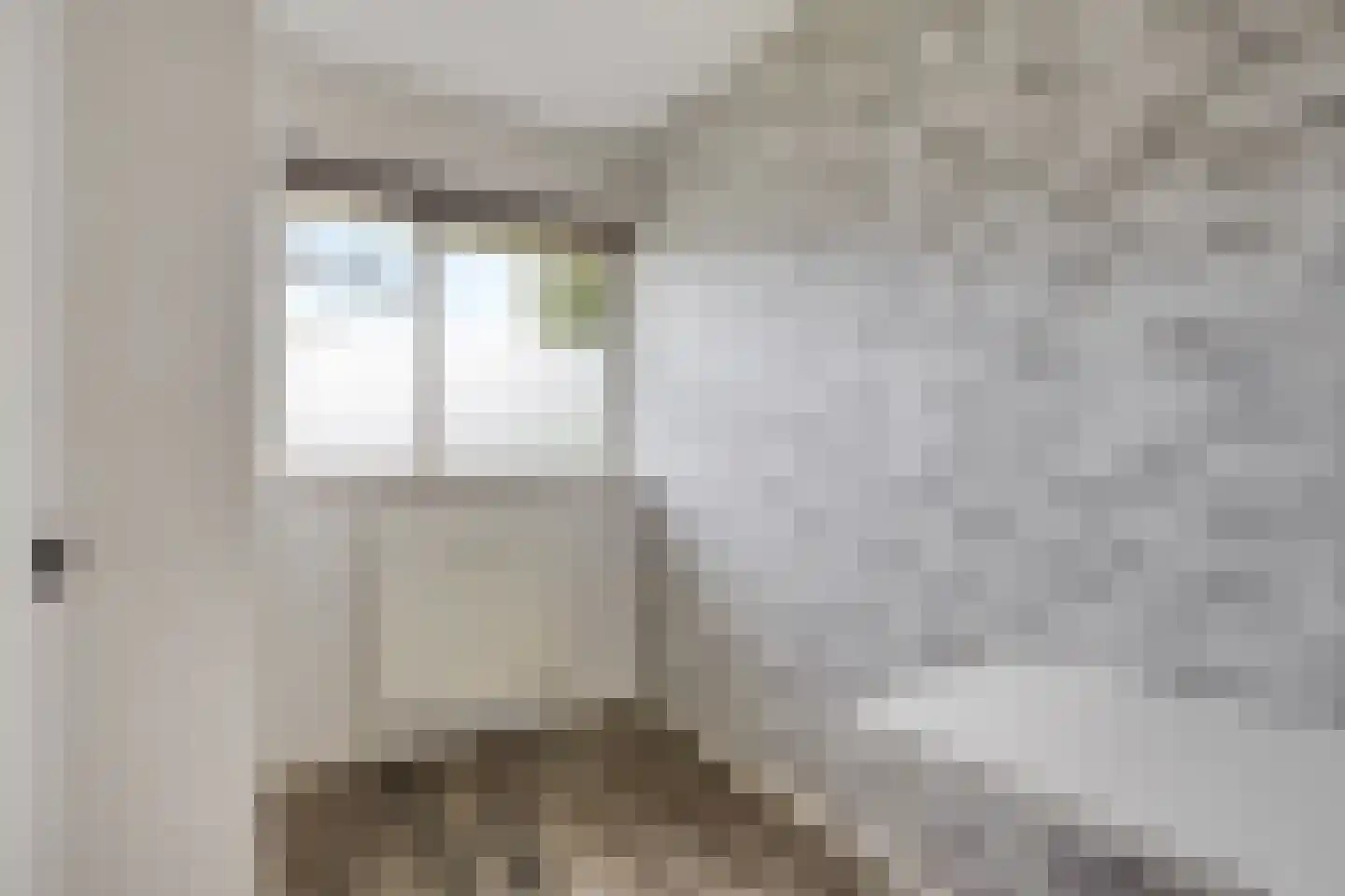 Claude Monetstraat 4 Zaandam thumbnail 18