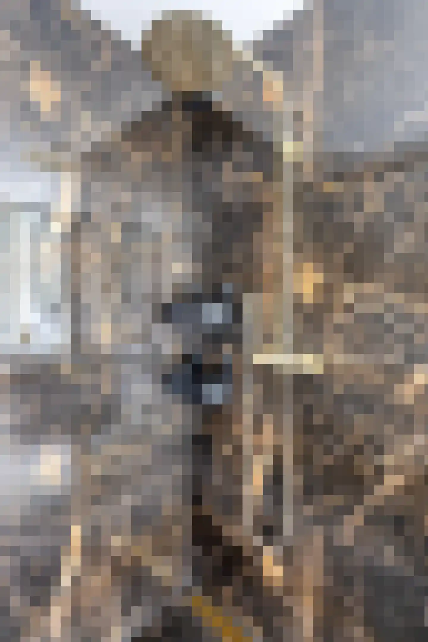 Claude Monetstraat 4 Zaandam thumbnail 27