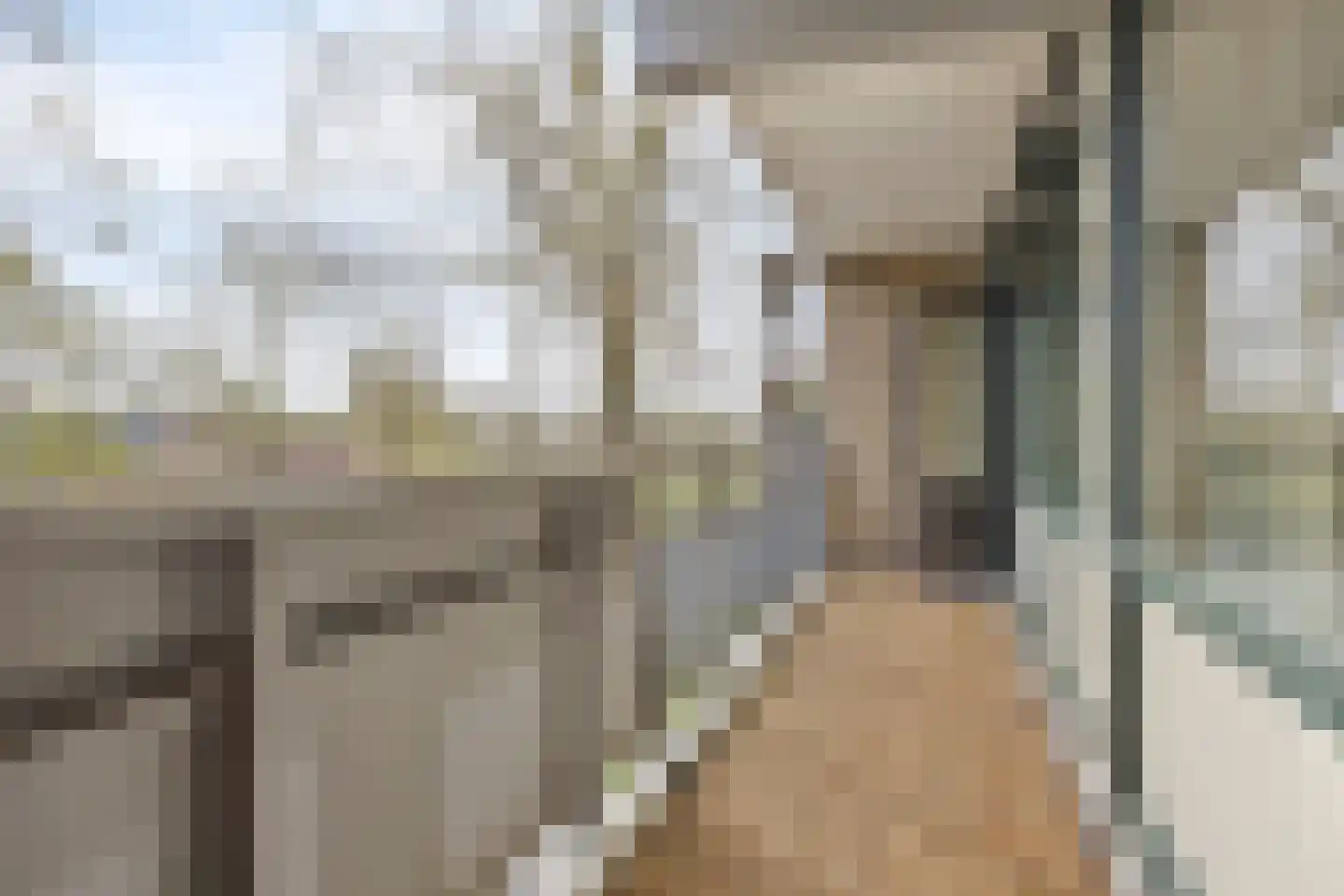 Claude Monetstraat 69 Zaandam thumbnail 25