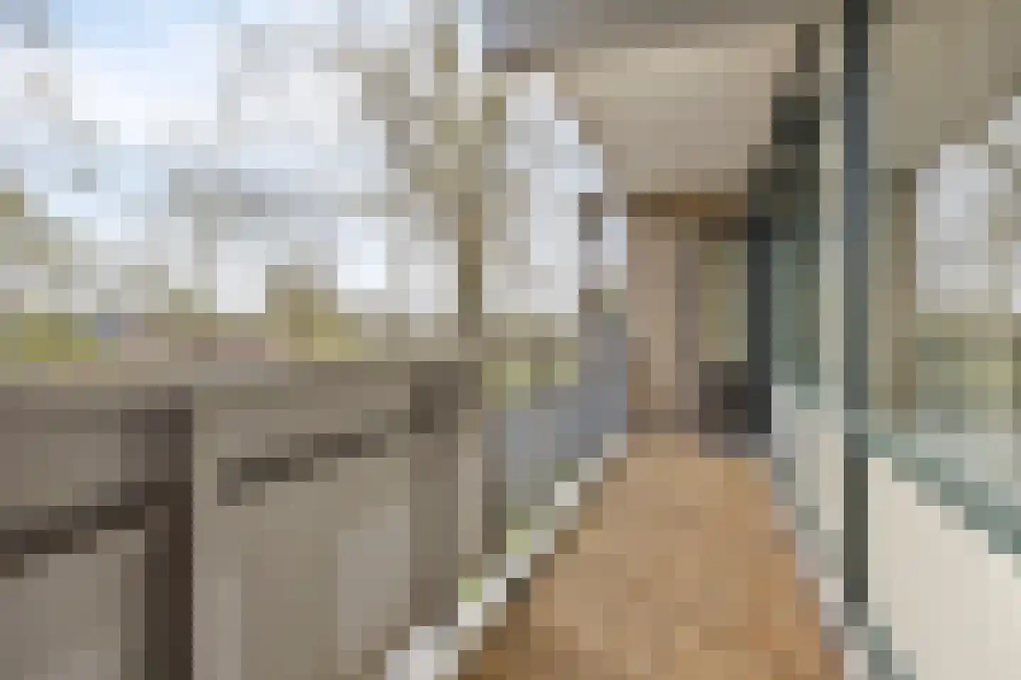 Claude Monetstraat 69 Zaandam thumbnail 25